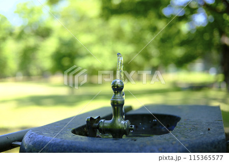 公園の水飲み場 115365577