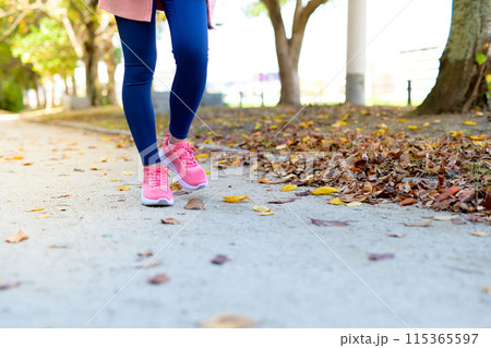 秋の公園の街路樹の道をジョギングする若い女性の足元　ダイエット　ボディメイク　 115365597
