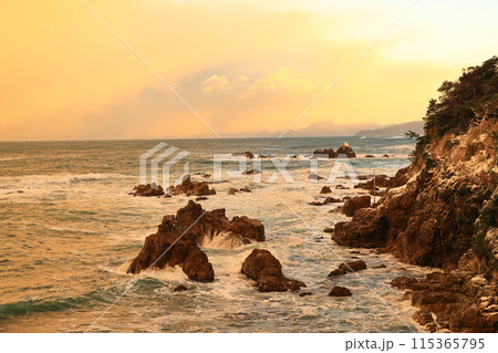 日和山海岸 115365795
