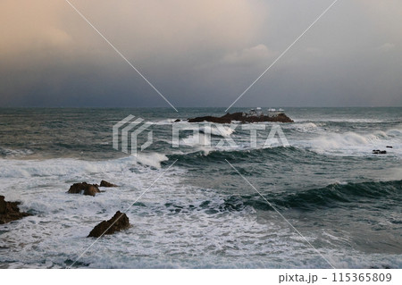 日和山海岸 115365809