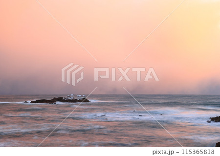 日和山海岸 日和山海岸 115365818