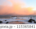 日和山海岸 115365841