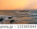 日和山海岸 115365844