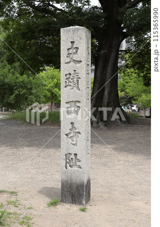 京都　史蹟西寺阯 115365990