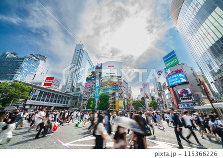 「東京都」スクランブル交差点　渋谷駅前 115366226