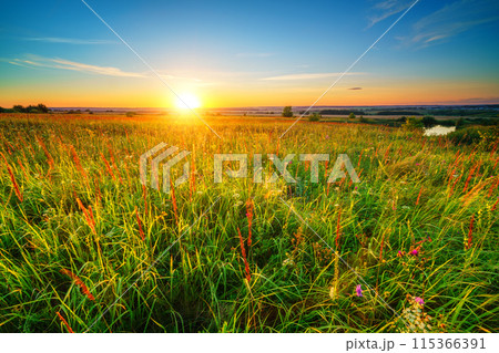 Bright sunset in a countryside 115366391