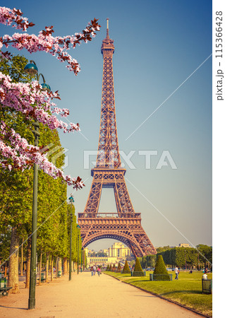 Eiffel Tower over blue sky at spring Eiffel Tower over blue sky at spring 115366428