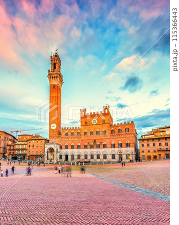 Piazza del Campo in Siena 115366443