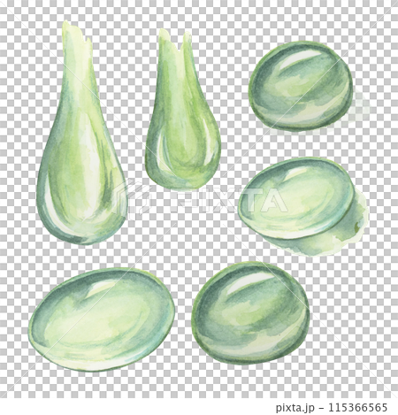 Green drops, serum, gel, juice extract or poison illustration. Hand drawn watercolor clipart of shiny liquid droplets for cosmetics, gifts, alchemy, beauty, food, science, biotech, chemistry and Green drops, serum, gel, juice extract or poison illustration. Hand drawn watercolor clipart of shiny liquid droplets for cosmetics, gifts, alchemy, beauty, food, science, biotech, chemistry and 115366565