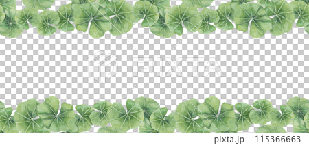 Green centella asiatica seamless border, vibrant foliage ribbon clipart. Watercolor gotu kola banner botanical design for beauty products, cosmetics, herbal medicine, ayurvedic food supplements 115366663
