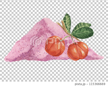 Acerola red cherries and pink powder exotic tropical fruits clipart with leaves. Smoothie wholesome ingredient watercolor illustration. Superfood vitamin C for print, packaging, label, food supplement 115366669