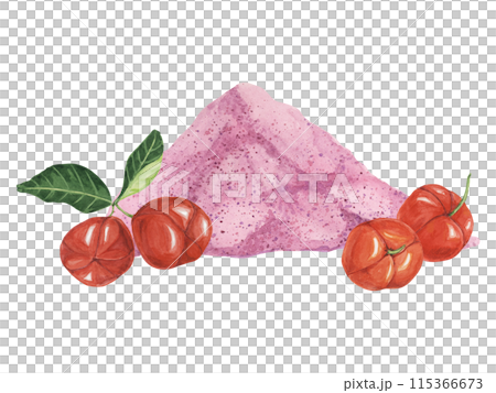 Acerola red cherries and pink powder exotic tropical fruits clipart with leaves. Smoothie wholesome ingredient watercolor illustration. Superfood vitamin C for print, packaging, label, food supplement Acerola red cherries and pink powder exotic tropical fruits clipart with leaves. Smoothie wholesome ingredient watercolor illustration. Superfood vitamin C for print, packaging, label, food supplement 115366673