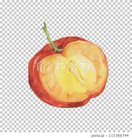 Acerola berry cut in half and slice, red Barbados cherry tropical fruit clipart. Malpighia emarginata glabra watercolor illustration. Superfood vitamin C for print, packaging, labels, food supplements 115366744