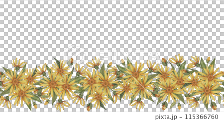 Yellow Arnica montana seamless border, blooming ribbon clipart. Watercolor wolfsbane flowers banner. Floral illustration for packaging, washi tape, labels, beauty, banner, cosmetics, herbal medicine 115366760