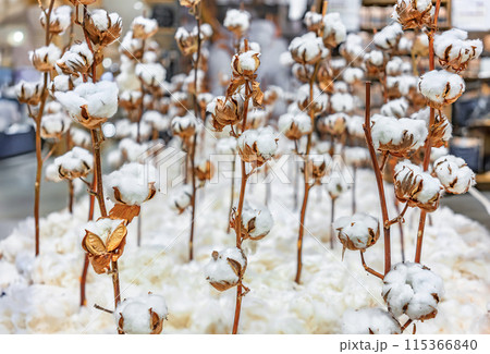 [素材] 天然繊維を展示する環境に優しい店舗の綿花。 115366840