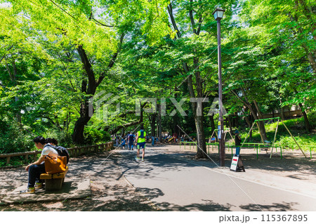 吉祥寺　新緑の井の頭公園 115367895