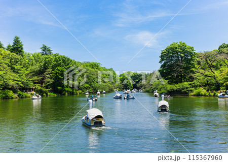 吉祥寺 休日の井の頭公園 吉祥寺 休日の井の頭公園 115367960