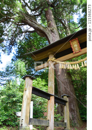 下野八幡宮・鳥居 115368273