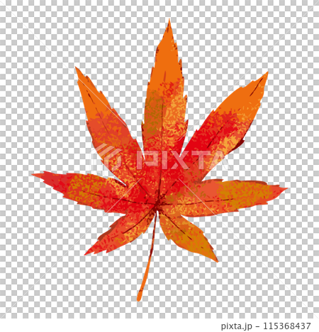 Hand-drawn watercolor illustration of autumn maple leaves / flat vector material isolated on white background Hand-drawn watercolor illustration of autumn maple leaves / flat vector material isolated on white background 115368437
