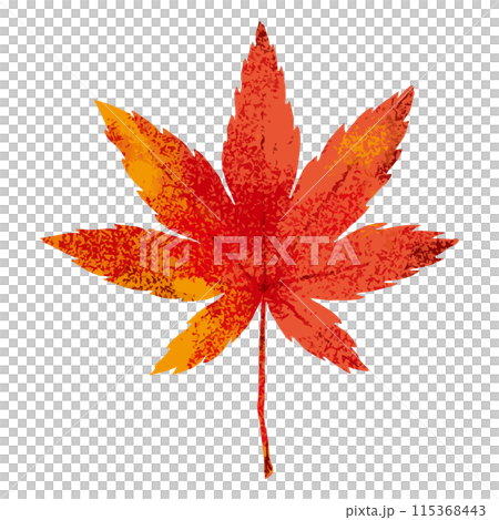 紅葉したモミジの葉の手書き水彩イラスト／白い背景に分離されたフラットなベクター素材 115368443
