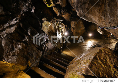 日原鍾乳洞の内部 115368467