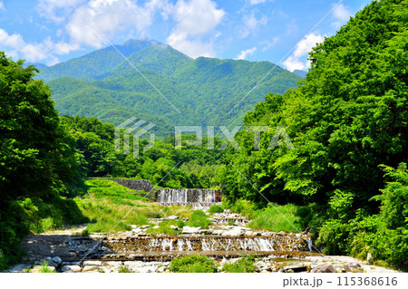 尾白橋／尾白川より上流／尾白川下流砂防堰堤方向を望む(山梨県北杜市)【2024.6】 115368616