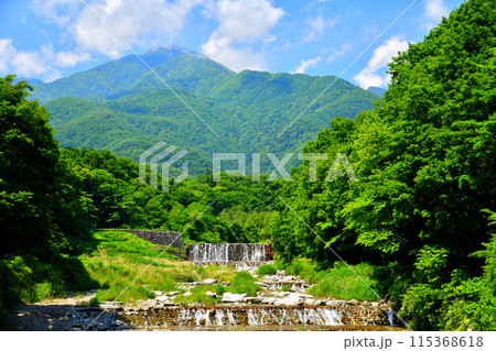 尾白橋/尾白川より上流/尾白川下流砂防堰堤方向を望む(山梨県北杜市)【2024.6】 尾白橋/尾白川より上流/尾白川下流砂防堰堤方向を望む(山梨県北杜市)【2024.6】 115368618