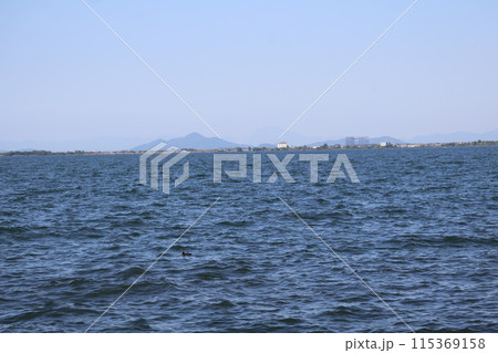 青い湖面の琵琶湖と対岸の町と山と青空の見える風景 115369158