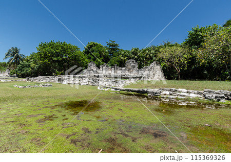 Ancient Ruins of El Rey in Cancun, Mexico 115369326