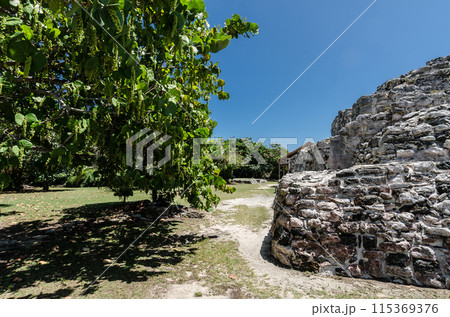 Ancient Ruins of El Rey in Cancun, Mexico Ancient Ruins of El Rey in Cancun, Mexico 115369376