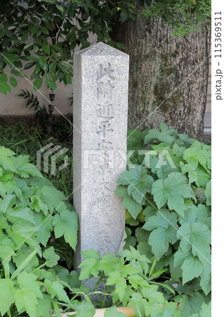 京都　平安京大内裏朱雀門跡 115369511