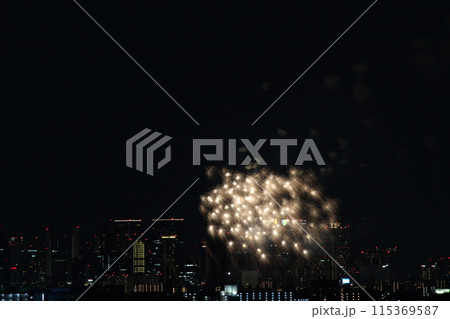 なにわ淀川花火大会　十三花火大会　ビルと花火 115369587