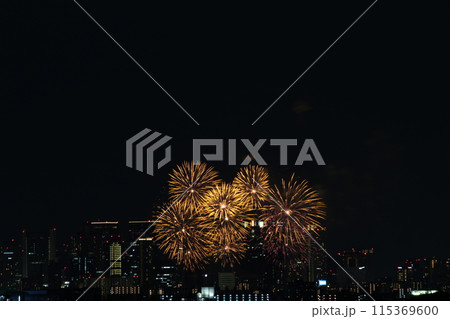 なにわ淀川花火大会　十三花火大会　ビルと花火 115369600