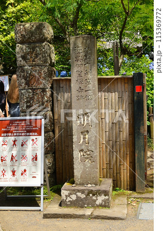 神奈川県鎌倉市山ノ内の観光スポット 明月院 神奈川県鎌倉市山ノ内の観光スポット 明月院 115369772