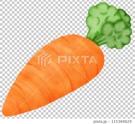 fresh carrot isolated on Transparent background 115369829