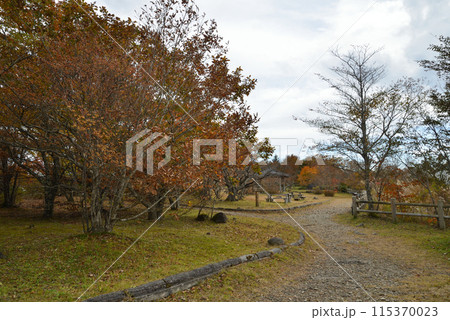 沼ッ原湿原　2023-10-23　＃100 115370023