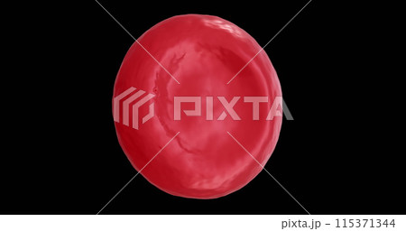 Image of micro of red blood cell on black background 115371344