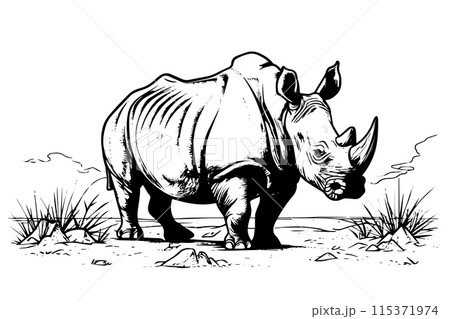 Rhinoceros in desert. Engraved lined style with bold lines. Black and white colors. 115371974