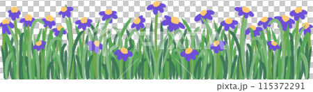 purple flowers border purple flowers border 115372291