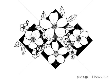 Sakura flower logotype hand drawn ink sketch. Engraved style vector illustration. 115372902