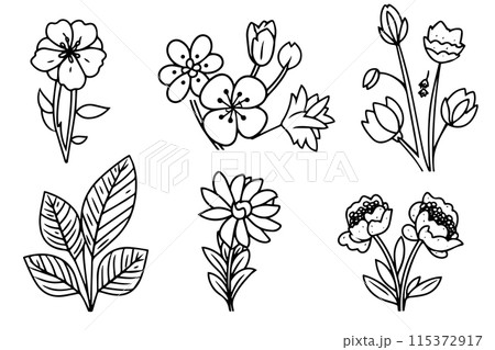 Different flower hand drawn ink sketch. Engraved style vector illustration. 115372917