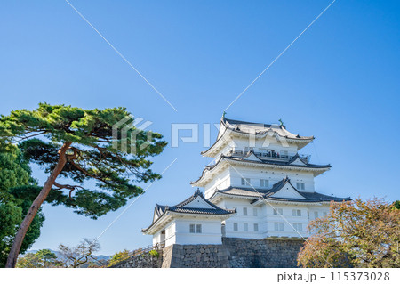 小田原城　天守閣　本丸　本丸広場 115373028