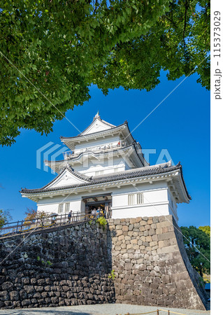 小田原城　天守閣　本丸　本丸広場 115373029