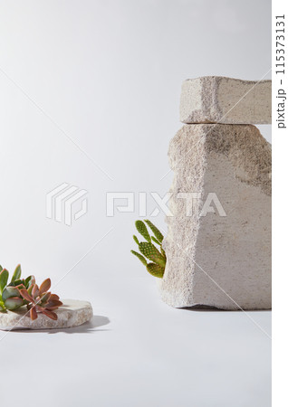 Template for design of summer theme on white texture, some gray color rocks decorated on both sides, next to cactus plants. Front view photo has blank space in center for product displaying Template for design of summer theme on white texture, some gray color rocks decorated on both sides, next to cactus plants. Front view photo has blank space in center for product displaying 115373131