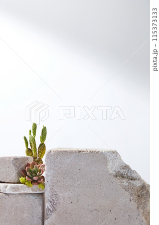 Front view photo has large blank stone podium below, decorated with green desert plant as cactus and stone lotus, over white background. Space for displaying product and adding text Front view photo has large blank stone podium below, decorated with green desert plant as cactus and stone lotus, over white background. Space for displaying product and adding text 115373133