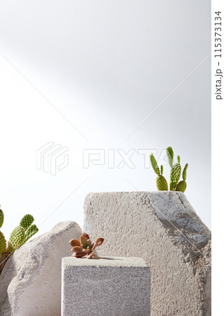 Empty stone podiums of gray color in various sizes stands out white background, on top of them decorated by a few green cactus. Photo has frontal shot with vacant space for designing Empty stone podiums of gray color in various sizes stands out white background, on top of them decorated by a few green cactus. Photo has frontal shot with vacant space for designing 115373134
