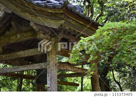 山寺　苔むした鐘楼のある風景 115373405