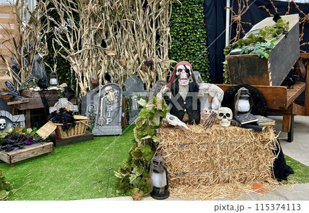 A skeleton in a red patch and an eye patch with a black patch looks at the camera he sits on the straw behind him tombstones Halloween he is in black vest with his head near his arm Skeleton of bird 115374113