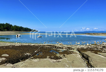Low tides in the Pacific Ocean on Vancouver Island in Canada are visible to my fellow countrymen and somewhere on the pier there is a ship that may soon capsize because the water is leaving Low tides in the Pacific Ocean on Vancouver Island in Canada are visible to my fellow countrymen and somewhere on the pier there is a ship that may soon capsize because the water is leaving 115374170