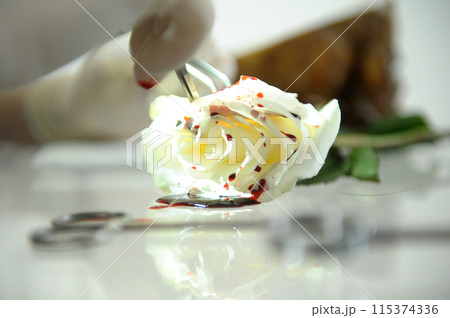 close-up White rose with artificial blood scalpel and surgical instruments for cutting operation suturing tissue suturing operation demonstration treatment surgical implants on ancillary items close-up White rose with artificial blood scalpel and surgical instruments for cutting operation suturing tissue suturing operation demonstration treatment surgical implants on ancillary items 115374336